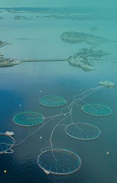 La pêche et aquaculture